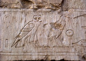 الآثار المصرية: نقش يمثل بومة ونسر. مقبرة عنخ حور (عنخ حور) (TT414) (الأسرة السادسة والعشرون ، 672-525 قبل الميلاد) ، الأقصر (طيبة) ، مصر بواسطة الأسرة المصرية السادسة والعشرون
