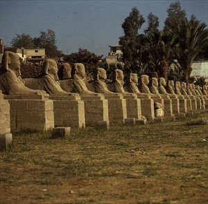شارع أبو الهول ، أضافه نكتانيبو الأول (380-362 قبل الميلاد) الفترة المتأخرة