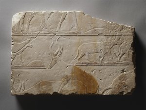 إغاثة حيوانات الصحراء ، المملكة القديمة ، وجدت في سقارة ، c.2472-2455 قبل الميلاد (الحجر الجيري المطلي)