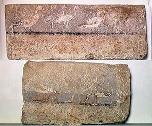 لوحة جدارية تصور الطيور ، المملكة القديمة (الكالسيت المطلي)