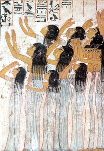  بواسطة مصري مصري