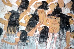  بواسطة مصري مصري