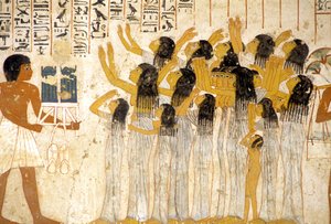  بواسطة مصري مصري