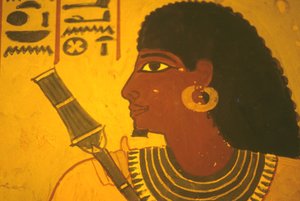 مصر القديمة، لوحة جدارية/جدارية/جصية، مقبرة سنوفر، طيبة/الأقصر، سنوفر يحمل صولجان، عمدة طيبة، المشرف في عهد أمينوفيس الثاني بواسطة مصري مصري