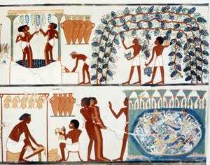 فن مصر: قطف وطحن العنب. كلية مشابهة لضريح نخت ، فترة أمينوفيس الثاني (1450-1425 قبل الميلاد) باريس ، كوليدج دو فرانس بواسطة مصري مصري