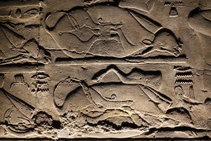  بواسطة مصري مصري