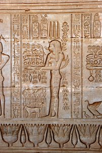 الآثار المصرية: تمثيل شابة تقدم القرابين كتقدير للإلهة ، معبد حتحور ، دندرة ، مصر بواسطة الفترة البطلمية المصرية
