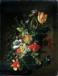 صورة غير معروفة