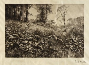 ظهيرة صيفية بواسطة إليس إف ميلر