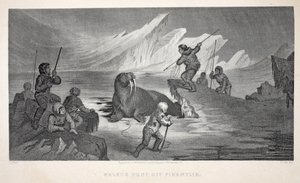 Walrus Hunt قبالة Pikantlik ، توضيح من "رحلة غرينيل الثانية في البحث عن السير جون فرانكلين ..." ، 1856 بواسطة إليشا كينت كين