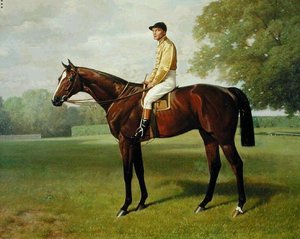 "Flying Fox" ، الفائز بجائزة 1899 ديربي ، 1899