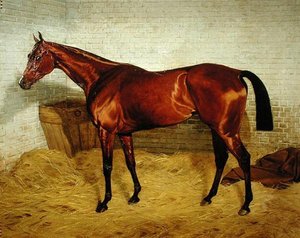 "وحيد" ، الفائز في ديربي 1885