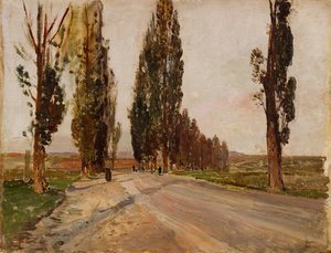 شارع Poplars بالقرب من Plankenberg ، ج. 1890