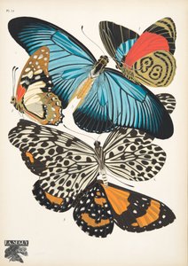 اللوحة 11 ، من الفراشات ، حانة. 1925 (طباعة استنسل)