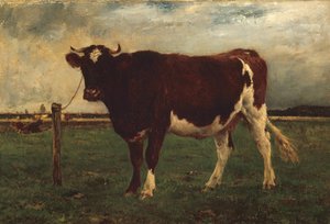 دراسة بقرة ، ١٨٧٠٩٠. بواسطة Emile van Marcke de Lummen