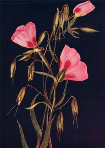 وداعًا لربيع ، c1915 ، 1915