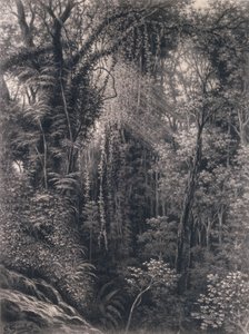 منظر للخانق فوق آبيا ، أبولو ، ساموا الغربية ، 1877 (فحم على ورق)