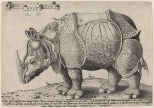وحيد القرن بواسطة Enea Vico بعد Albrecht Dürer