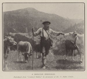 A Brescian Herdsman