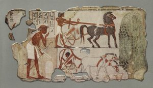 سائق عربة على وشك أن يركب مركبته (صورة) بواسطة مصور انجليزى