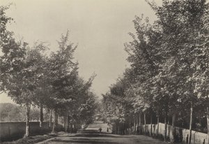 Aldeburgh ، Westfields Avenue (b / w photo) بواسطة مصور انجليزى