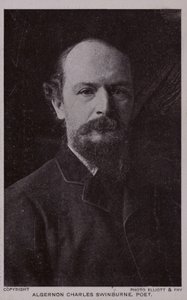 ألجرنون تشارلز سوينبرن (1837-1909) ، شاعر إنجليزي وكاتب مسرحي بواسطة مصور انجليزى