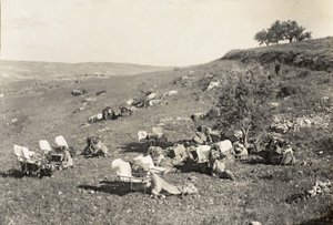 جمال سيارة الإسعاف ، 1916-1919 (b / w photo) بواسطة مصور انجليزى