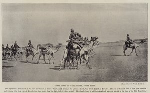 فيلق الجمال بوادي حلفه بصعيد مصر بواسطة مصور انجليزى