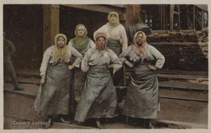 الكوليري معشوق (صورة ملونة) بواسطة مصور انجليزى
