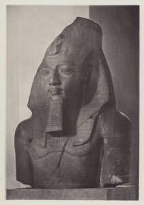  بواسطة مصور انجليزى