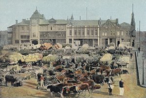 Early Morning Market, Johannesburg (coloured photo) بواسطة مصور انجليزى