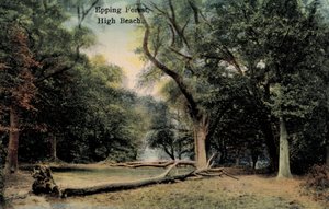 Epping Forest, High Beach (photo) بواسطة مصور انجليزى