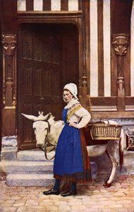 فرنسا: زهرة نورماندي (صورة ملونة) بواسطة مصور انجليزى