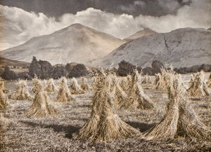  بواسطة مصور انجليزى