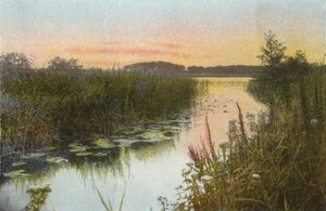 Hoveton Broad بواسطة مصور انجليزى
