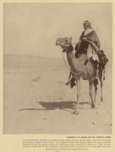  بواسطة مصور انجليزى