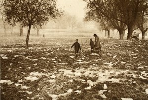عشب متناثرة في هامبستيد هيث في اليوم التالي لعطلة البنوك ، من لندن الرائعة ، 1926-1927 (حفر ضوئي) بواسطة مصور انجليزى