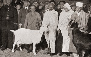 المهاتما غاندي يصل إلى لندن ، إنجلترا في عام 1931 مع تلميذه ، مادلين سليد ، واثنين من ماعزه ، من قصة خمس وعشرون سنة ، نُشر عام 1935 بواسطة مصور انجليزى