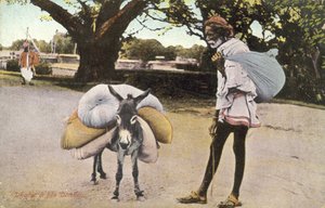رجل وحماره (صورة ملونة) بواسطة مصور انجليزى