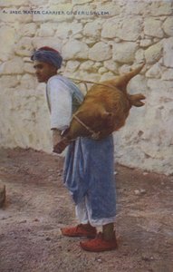  بواسطة مصور انجليزى