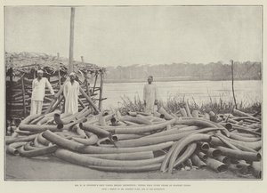 السيد HM Stanleys Emin Pasha Relief Expedition ، متجر Tippoo Tibs Ivory في ستانلي فولز