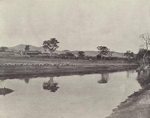 محطة Nemengha بواسطة مصور انجليزى