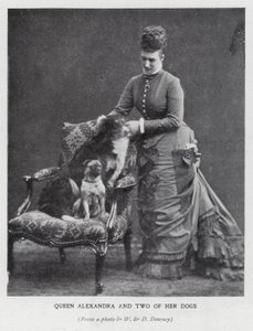 الملكة الكسندرا واثنين من كلابها (صورة b / w) بواسطة مصور انجليزى