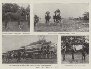 مشاهد في أسكوت ، 1901 بواسطة مصور انجليزى