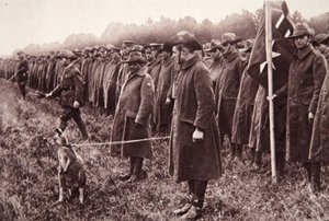 مراجعة Anzac على ساليسبري بلين: تعويذة أسترالية ، رسم توضيحي من أخبار الحرب المصورة ، 27 سبتمبر 1916 (صورة بني داكن) بواسطة مصور انجليزى