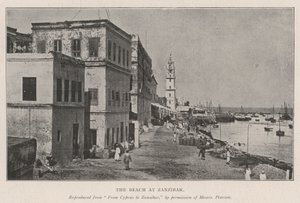 الشاطئ في زنجبار بواسطة مصور انجليزى