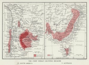 The Chief Wheat-Growing Regions, South America, Australia (photo) بواسطة مصور انجليزى