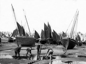 أسطول الصيد في ميناء سانت آيفيس ، 1880-99 بواسطة مصور انجليزى