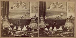 قرد سمكة اليابان بواسطة مصور انجليزى