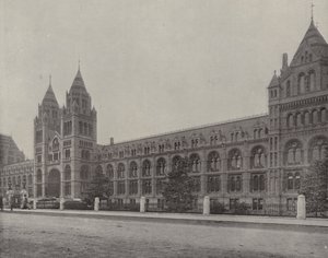  بواسطة مصور انجليزى